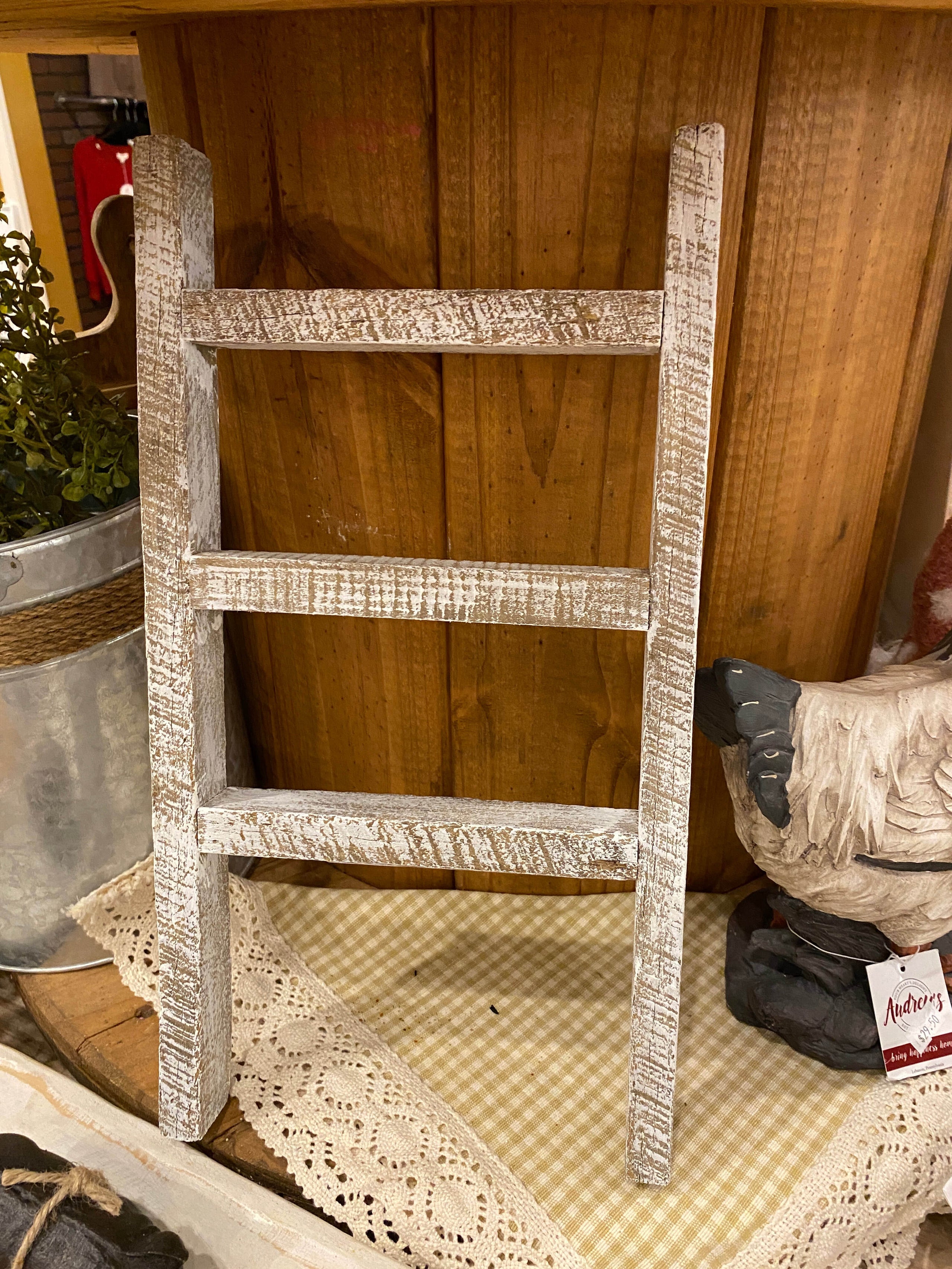 Dish 2025 towel ladder